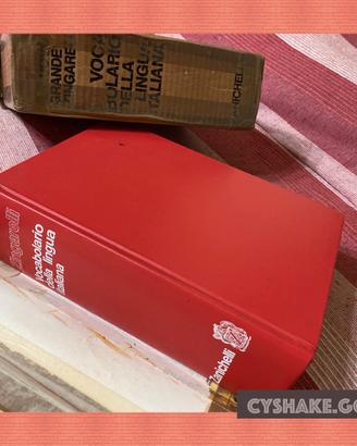 Zingarelli Dizionario ITALIANO --- come NuoVO-