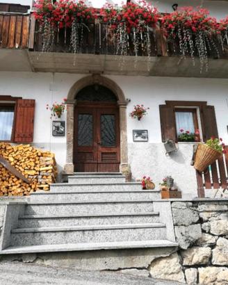 Appartamento vacanze Dolomiti Comelico