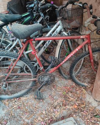 bicicletta bianchi 