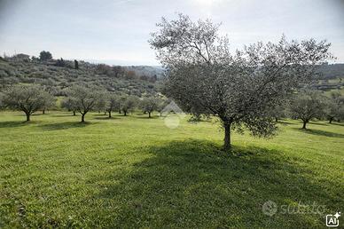 TER. AGRICOLO A SPOLTORE
