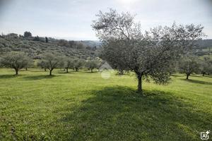 TER. AGRICOLO A SPOLTORE