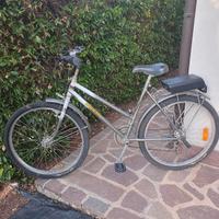 Mountain bike con seggiolino