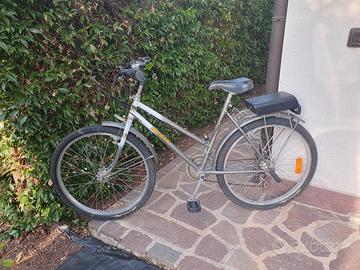 Mountain bike con seggiolino