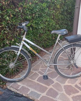 Mountain bike con seggiolino