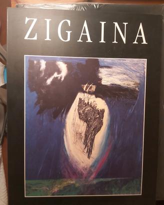 libro d'arte moderna ZIGAINA