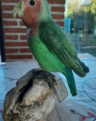 Pappagallo inseparabile, in scultura di argilla