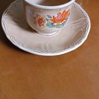 6 tazzine con piattino