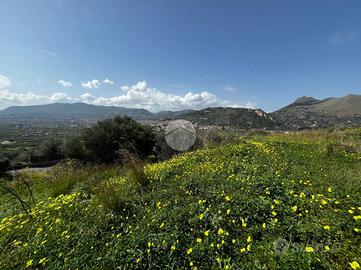TER. AGRICOLO A BAGHERIA