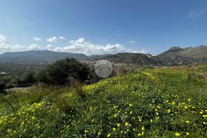 TER. AGRICOLO A BAGHERIA
