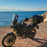 Voge Valico 800 DSX  Rally - NERO SATINATO 10/2025