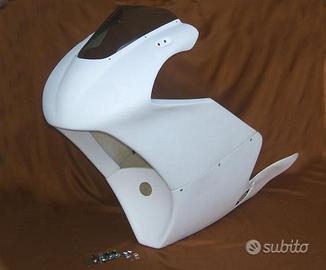 Carena anteriore Tyga Performance Suzuki RGV 250