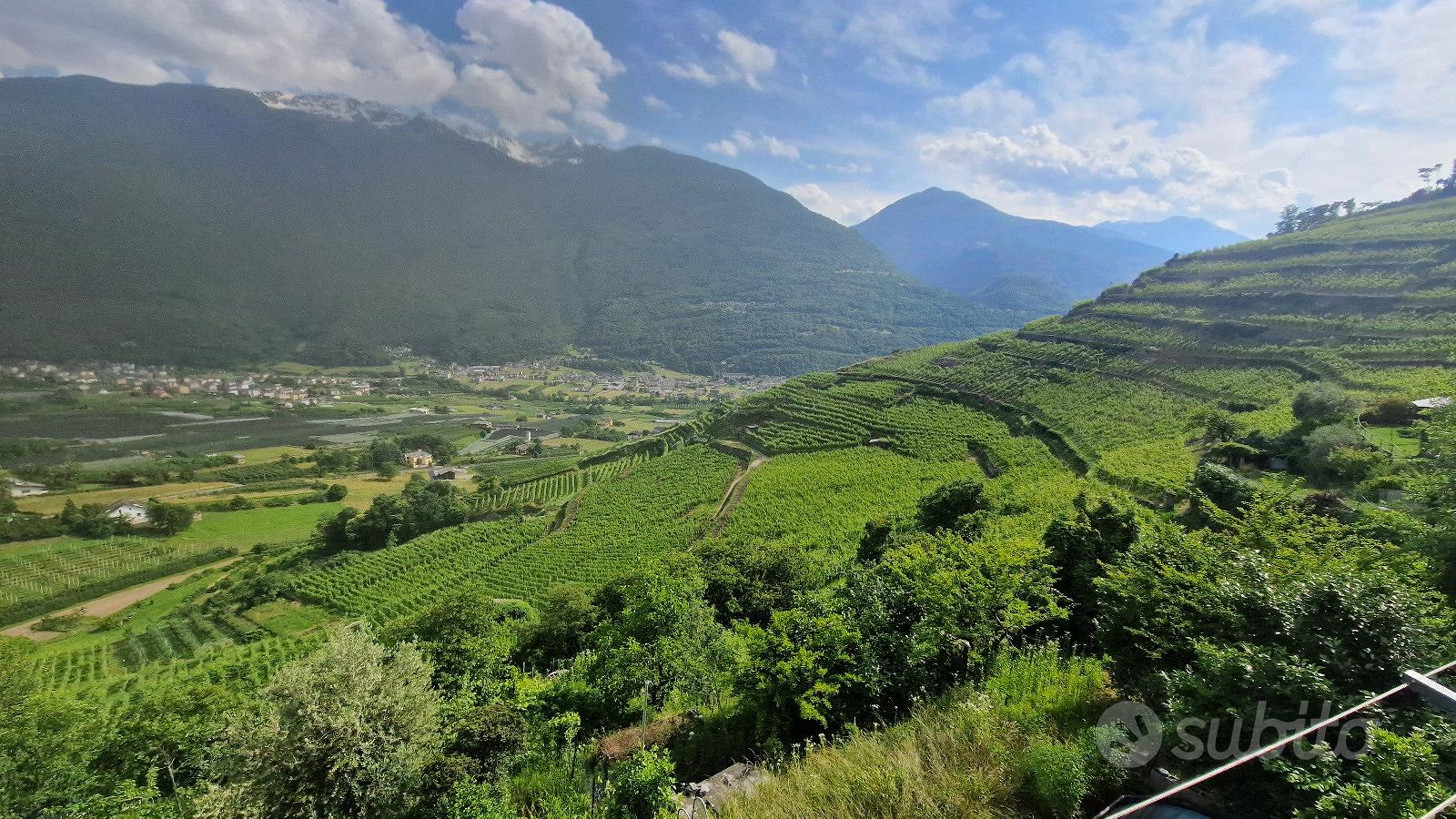 Tresivio grande appartamento con giardino - Vista 5