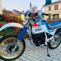 HONDA XL 600 LM Paris Dakar FMI TARGA ORO