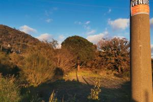 Terreno agricolo Nicolosi Contrada Nevoli