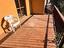 Immagine 11
