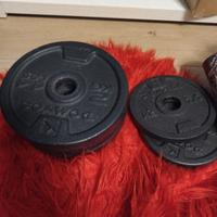 dischi da 2 kg e 1 kg 