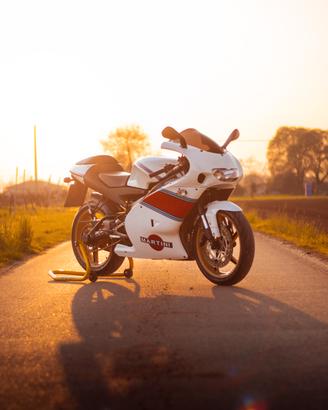 Aprilia Tuono rs 125 2t