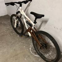 Bici mtb