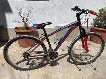 Bicicletta MTB