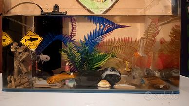 acquario per pesci 