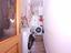 Immagine 14