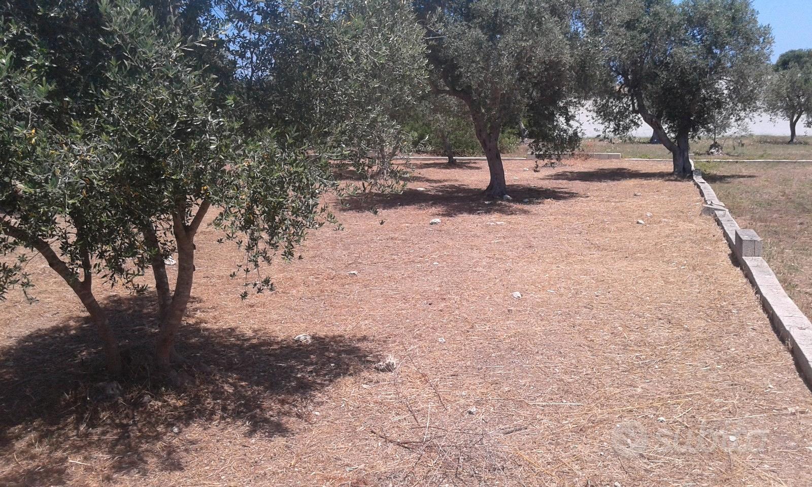 Terreno edificabile vicinanze mare - Vista 3