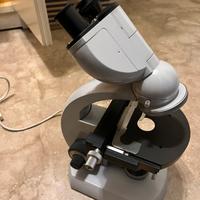 Microscopio Zeiss