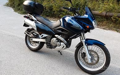 SUZUKI XF 650 FREEWIND ISCRITTA FMI