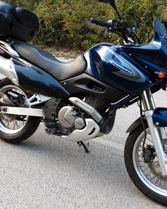 SUZUKI XF 650 FREEWIND ISCRITTA FMI