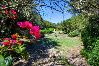 Stintino - Punta Negra - Villino Caposchiera