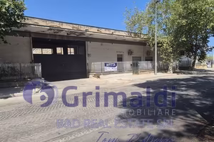 Capannone Industriale Bagheria [LocM/26ACG]