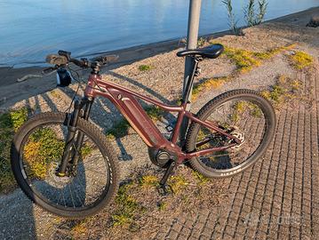 E Bike mtb Liv Giant 