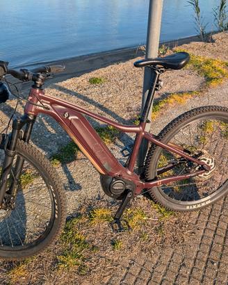 E Bike mtb Liv Giant 