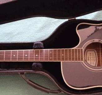 Chitarra 12 corde Yamaha 