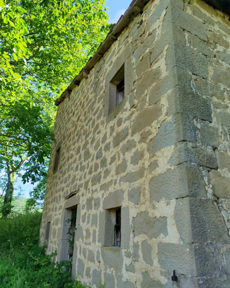 Casolare più terreno