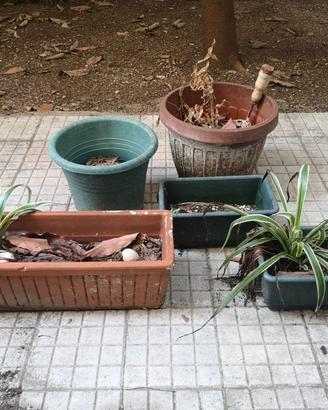 5 vasi da giardino terracotta e plastica