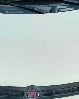 FIAT PANDA 2008 COFANO ANTERIORE
