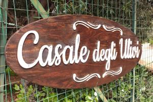 Casale degli ulivi