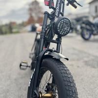 Bici LEM Elettrica Vintage