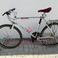 Mountain bike adulto con cambio Shimano 7x3 speed