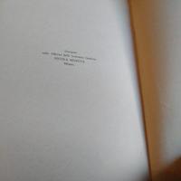 Col "Krassin" alla Tenda rossa, Davide Gudici-1929