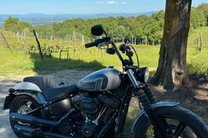 Harley-Davidson Street Bob 114. Garanzia 2026