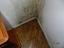 Immagine 17