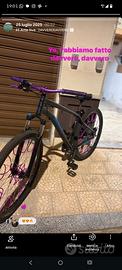 bici rokrider