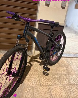 bici rokrider