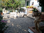 Immagine 6