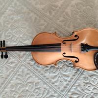 Violino legno e carbonio unico