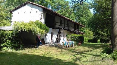casa più terreno  in mezzo al bosco 