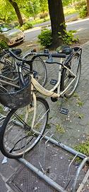 bicicletta da passeggio