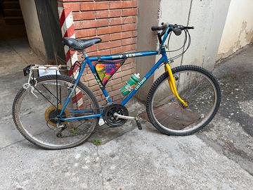 Bici Uomo - Cambio Meccanico